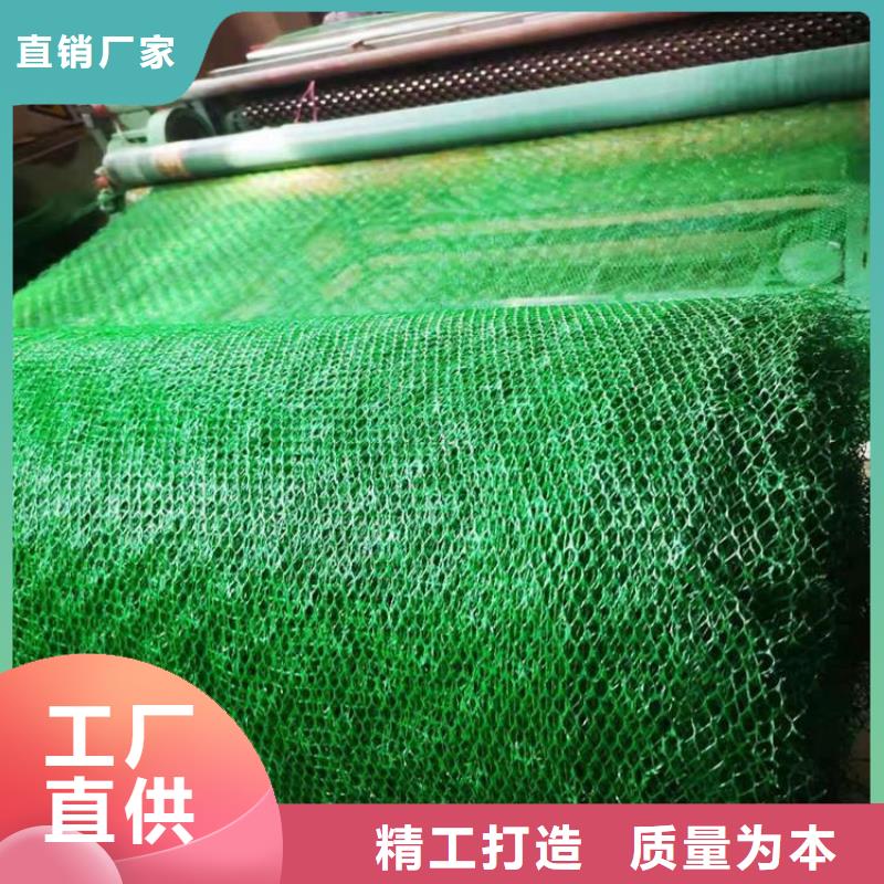 三維植被網(wǎng),土工格柵擁有多家成功案例