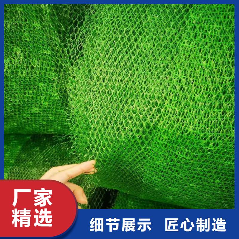 三維植被網(wǎng)HDPE土工膜量大更優(yōu)惠