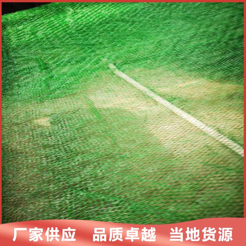 三维植被网-EM3三维土工网垫