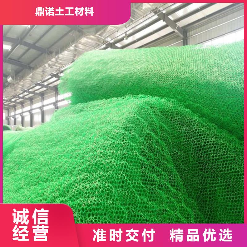 三维植被网双向塑料土工格栅款式新颖