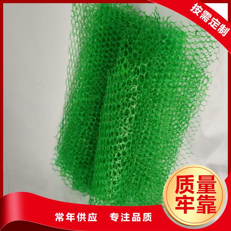 环保草皮三维固土网垫