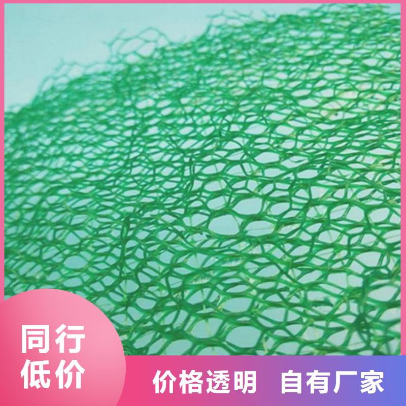 EM5三維加筋網(wǎng)墊-EM2三維植被網(wǎng)