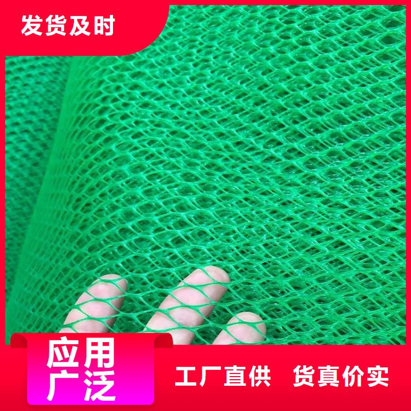 EM3三维加筋网垫-EM5三维植被网