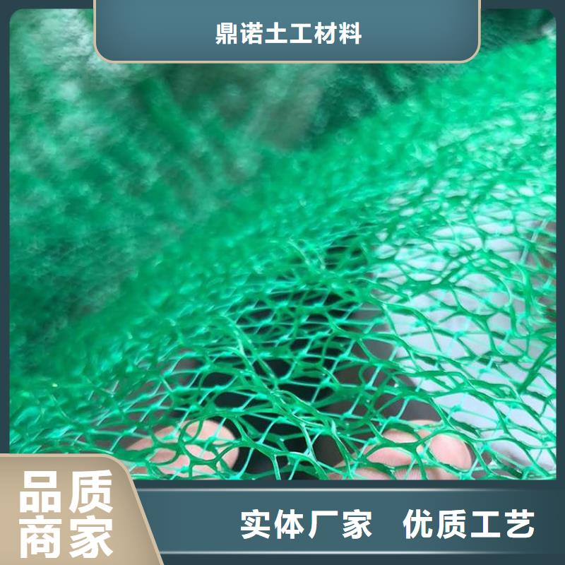 EM2三维植被网-土工网垫