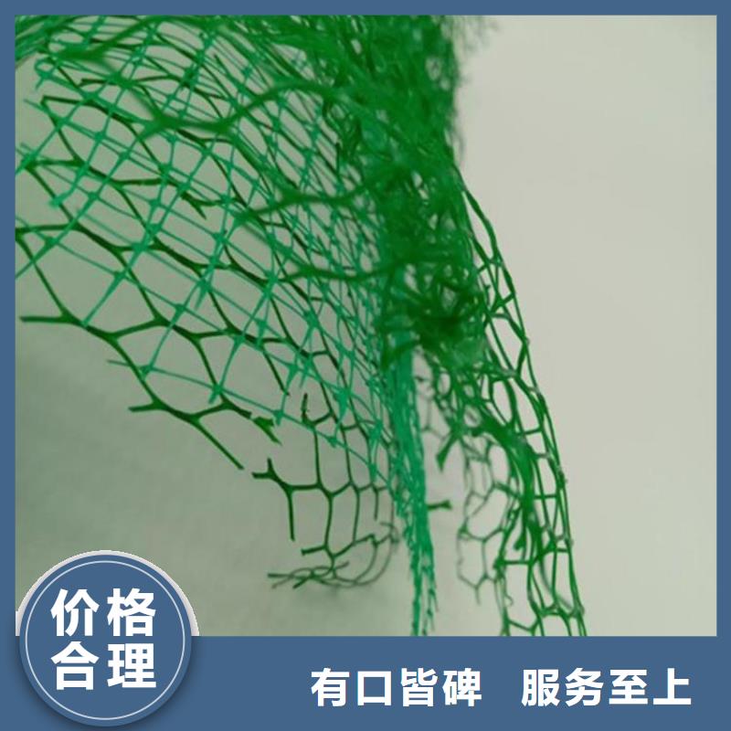 【 三维植被网_HDPE土工膜批发货源】_鼎诺土工材料(晋城市分公司)