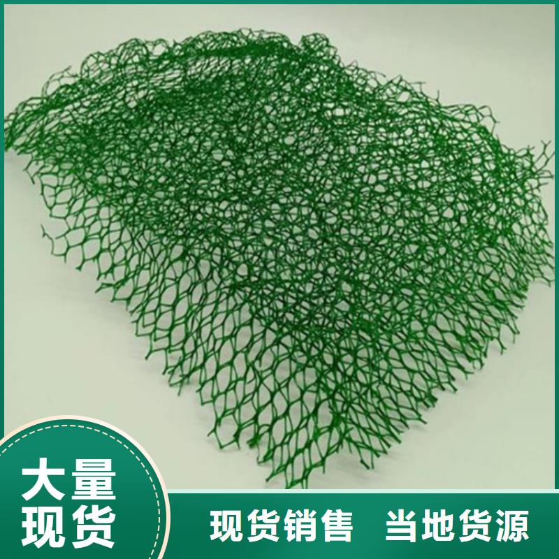 EM3三维加筋网垫-EM5三维植被网
