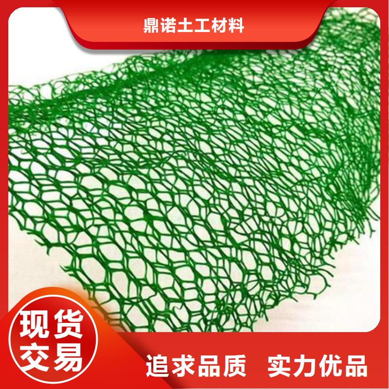三維植被網(wǎng)HDPE土工膜量大更優(yōu)惠