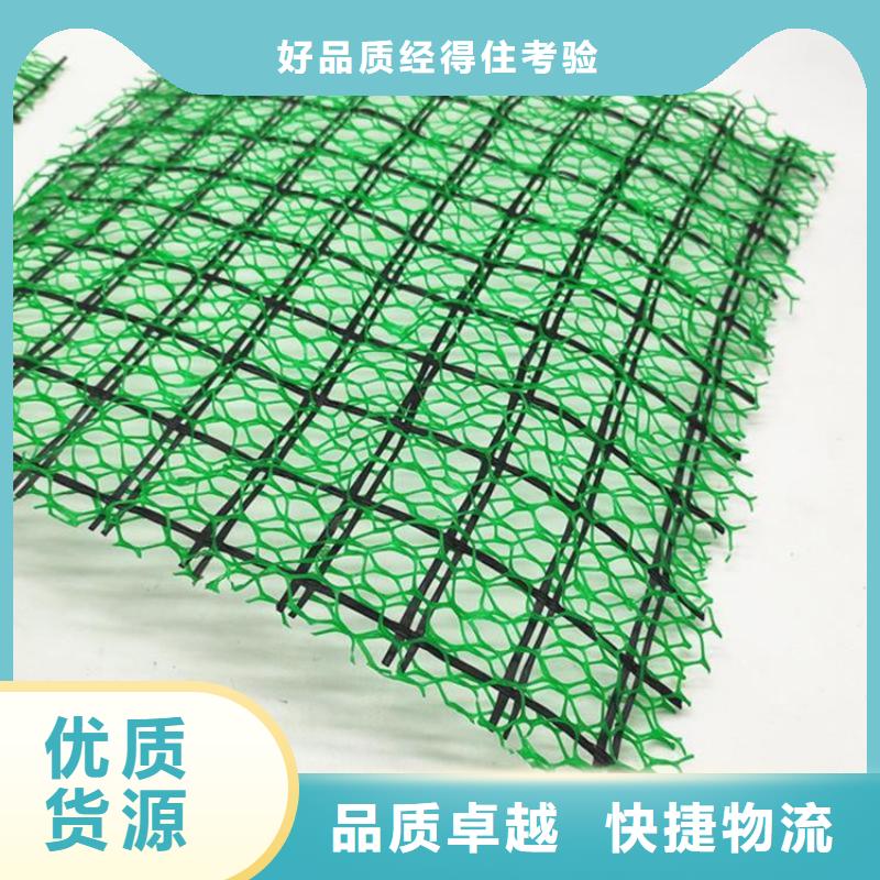 三维植被网玻纤格栅优质原料
