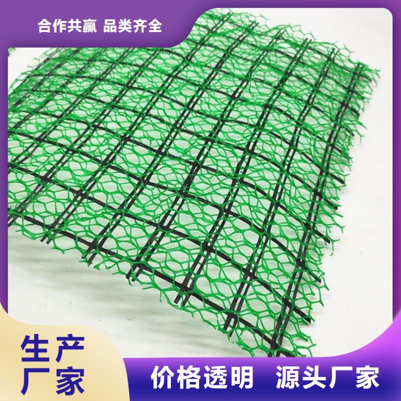三維植被網-EM4三維護坡植草網墊