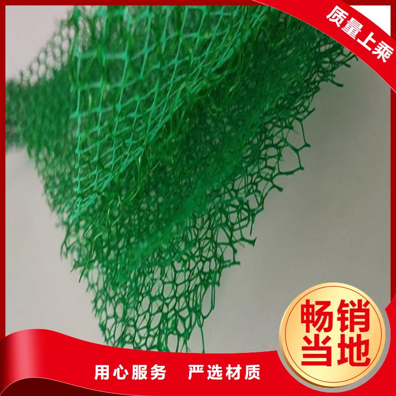 三維植被網-EM3三維固土網墊
