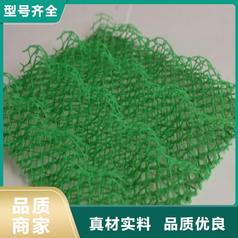 绿化护坡加筋护坡植草网垫
