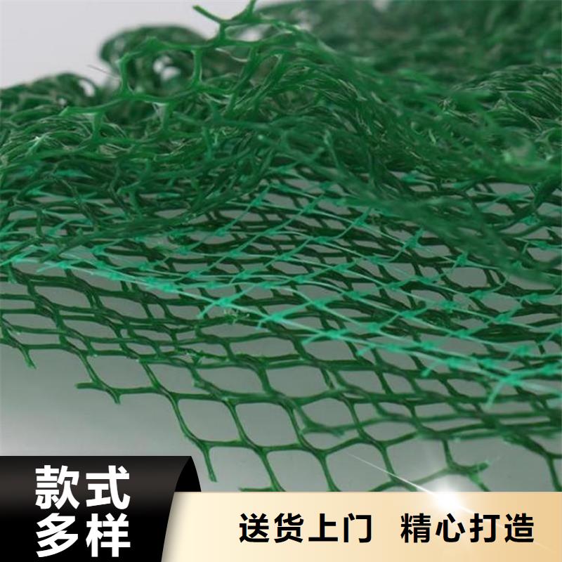 三维植被网【止水带】实力才是硬道理-鼎诺土工材料(丹东市分公司)