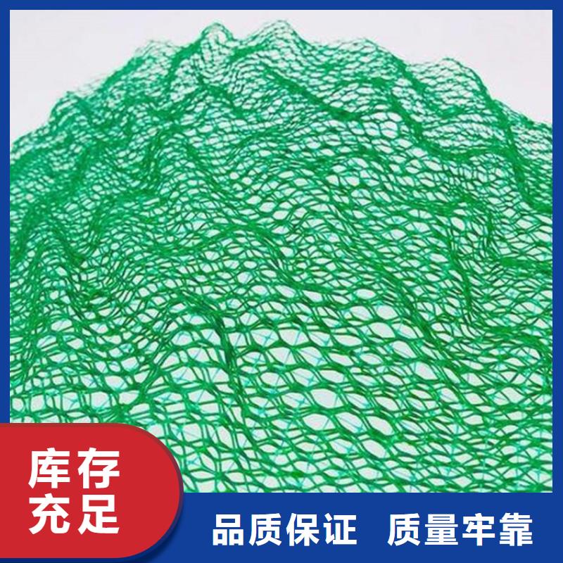 防渗膜鼎诺【 三维植被网土工布严格把关质量放心】