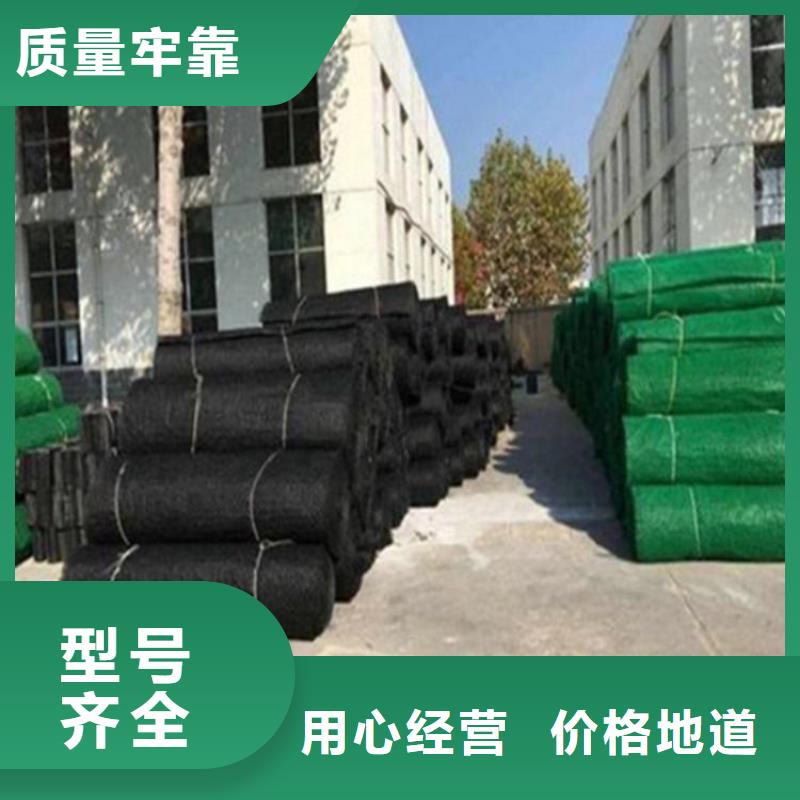 防渗膜鼎诺【 三维植被网土工布严格把关质量放心】