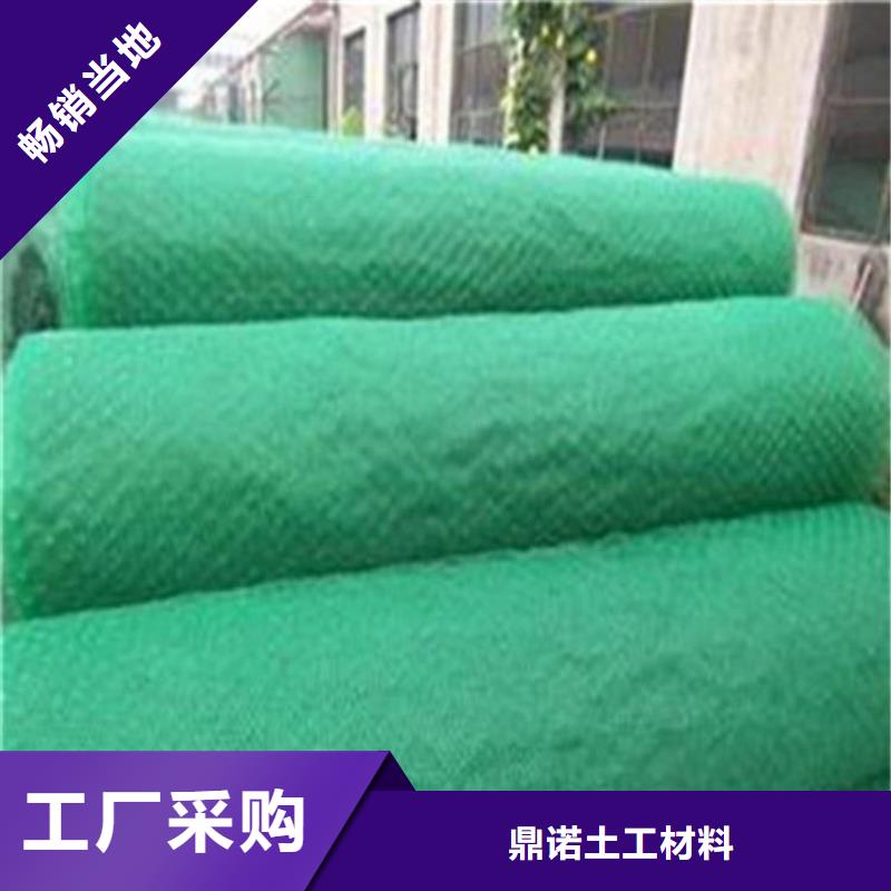 【 三维植被网_HDPE土工膜批发货源】