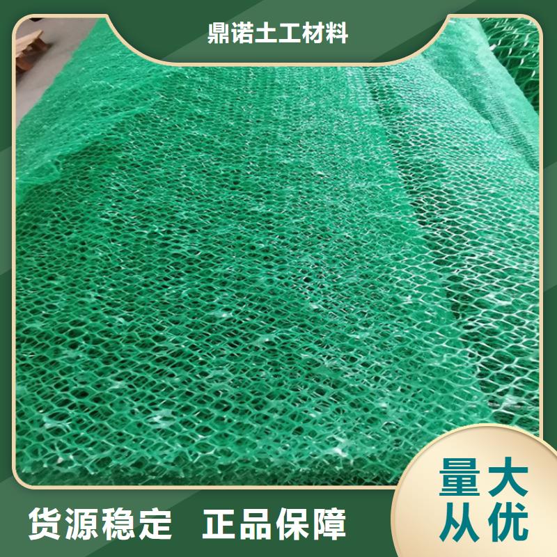 三维植被网,聚酯布源头厂家