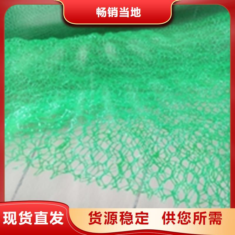 绿化护坡加筋护坡植草网垫