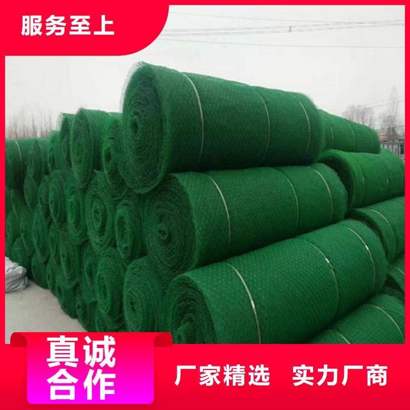 三维植被网EM3绿化