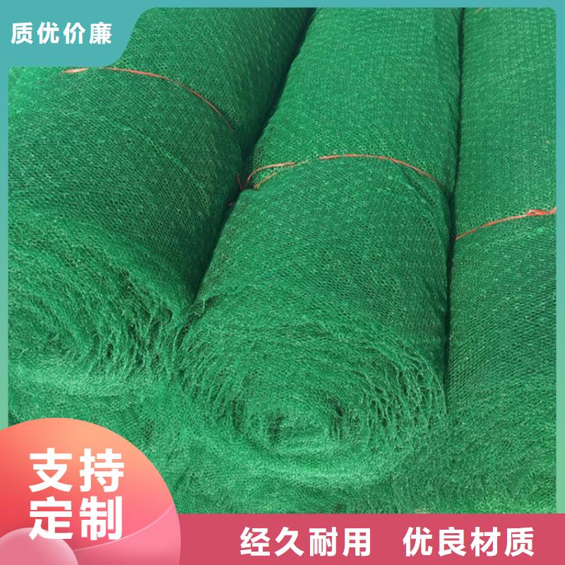 环保草皮三维固土网垫