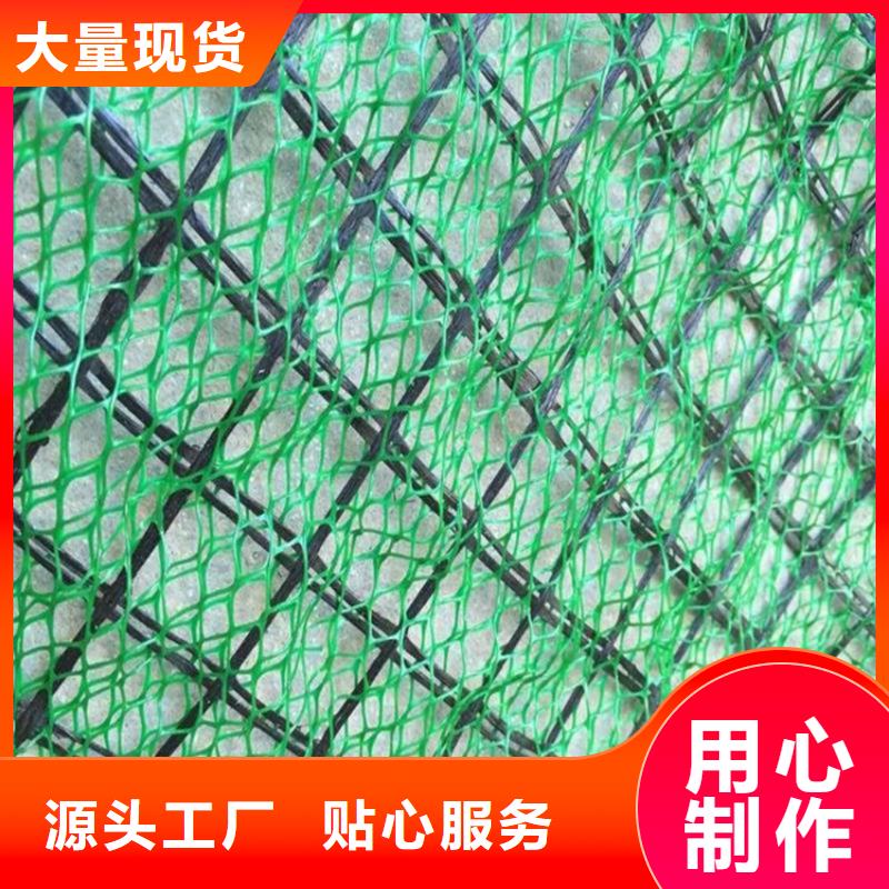 防渗膜鼎诺【 三维植被网土工布严格把关质量放心】