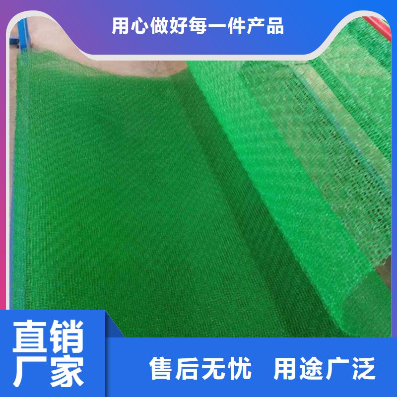 EM3三维土工网垫