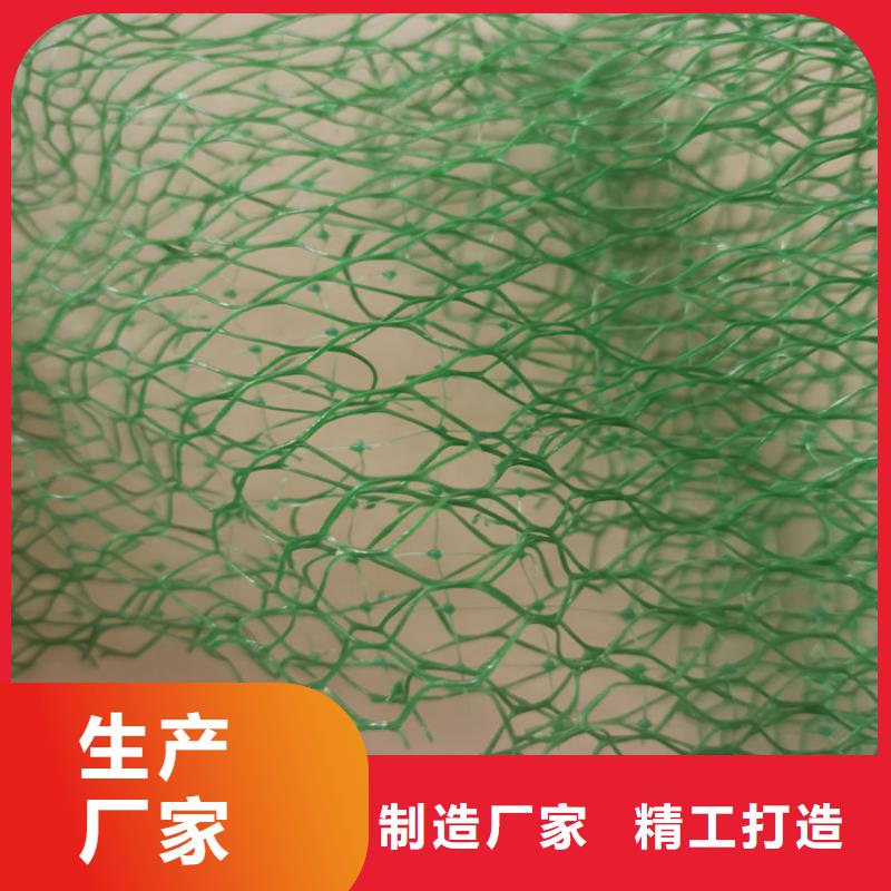 三维植被网-加筋三维土工网垫