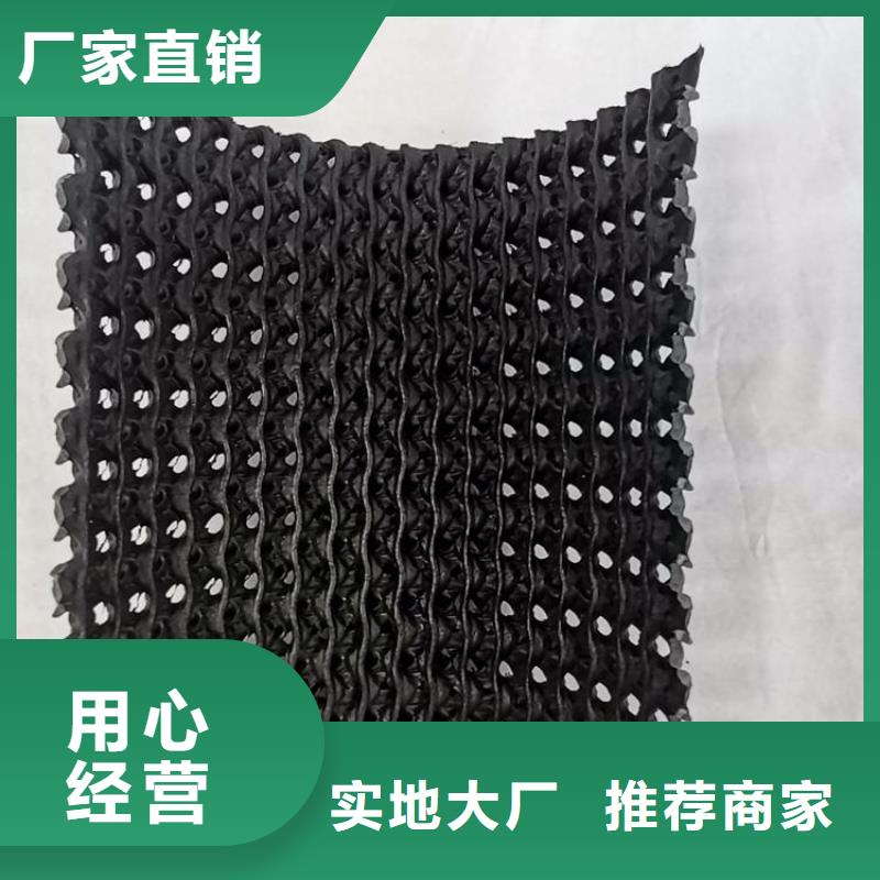 鼎诺防渗膜【硬式透水管】-土工膜重信誉厂家企业旺旺
