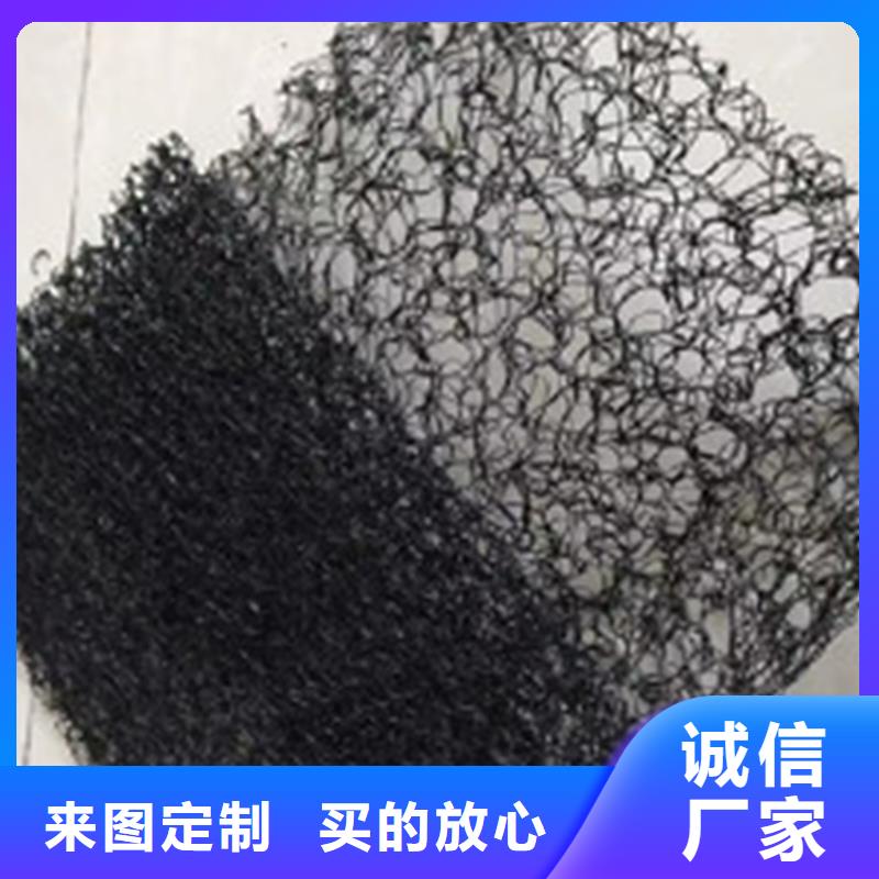 通風(fēng)降噪絲網(wǎng)雙向塑料土工格柵合作共贏