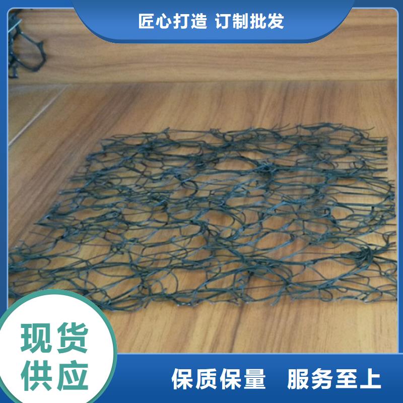 通风降噪丝网双向塑料土工格栅合作共赢