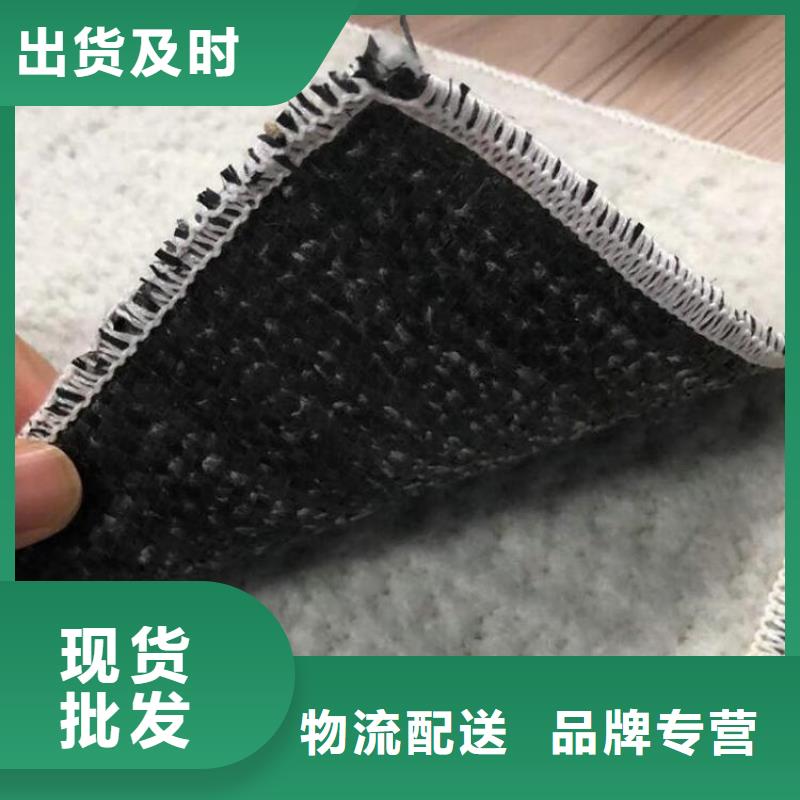 膨润土防水毯 【双向塑料土工格栅】真正让利给买家-鼎诺土工材料(宁德市分公司)