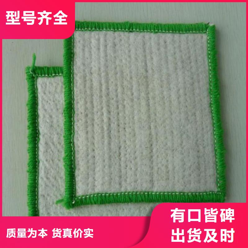膨润土防水毯 【双向塑料土工格栅】真正让利给买家-鼎诺土工材料(宁德市分公司)