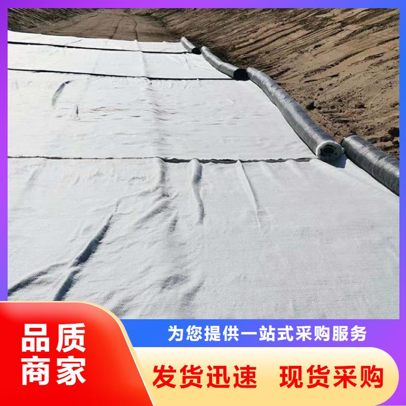 【膨润土防水毯】,土工膜产品实拍-鼎诺土工材料(四平市分公司)|覆盖地域梨树|公主岭|延边|吉林|辽源|长春|通化