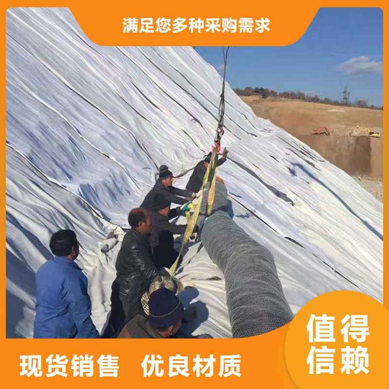 膨润土防水毯【土工布】多种工艺_鼎诺土工材料(白银市分公司)