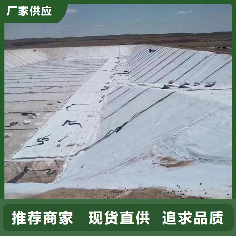 膨润土防水毯防水板好品质经得住考验
