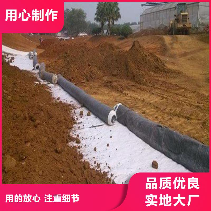【膨润土防水毯】,土工膜产品实拍-鼎诺土工材料(四平市分公司)|覆盖地域梨树|公主岭|延边|吉林|辽源|长春|通化