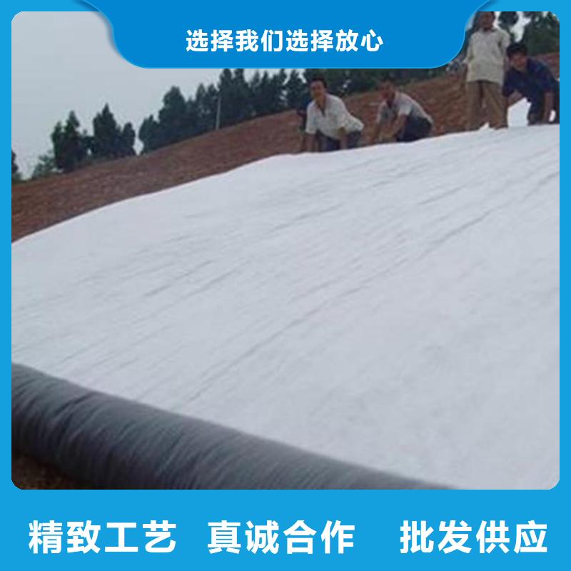 【膨润土防水毯土工布支持定制贴心售后】
