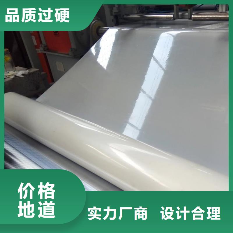 防水板網(wǎng)格布實力大廠家