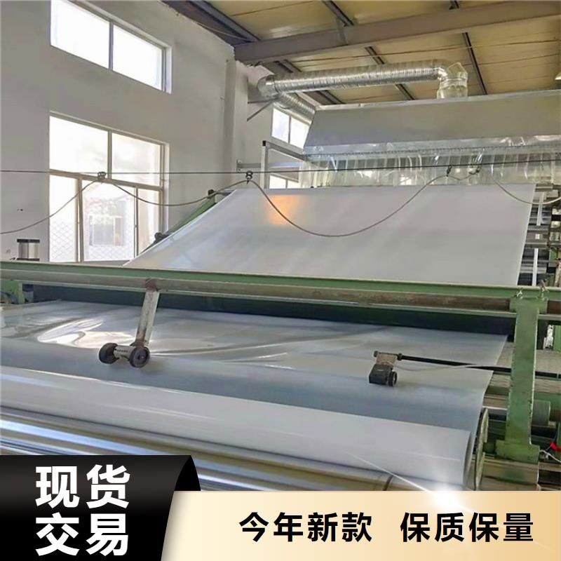 防水板網(wǎng)格布實力大廠家
