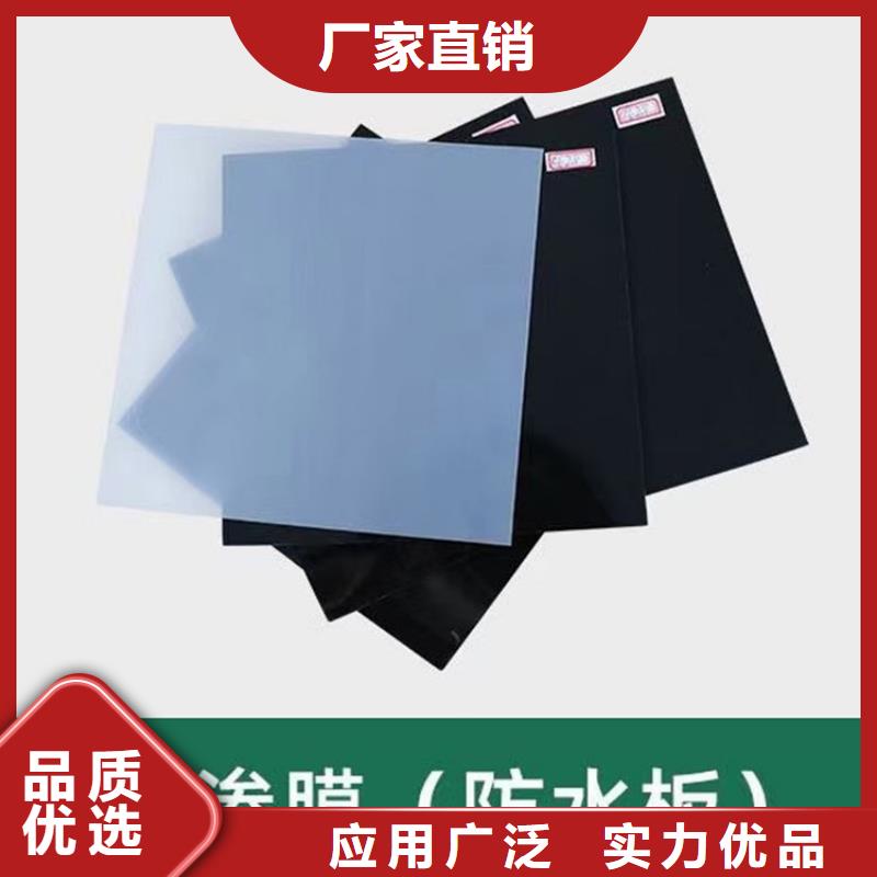 防渗膜鼎诺防水板-【土工布】设计制造销售服务一体