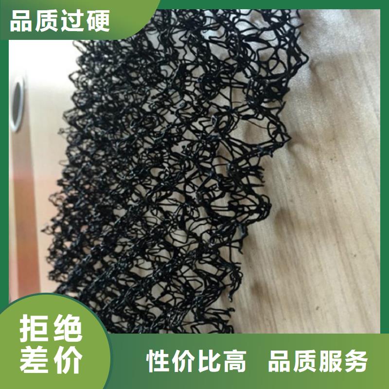 水土保護毯雙向塑料土工格柵實力商家供貨穩定