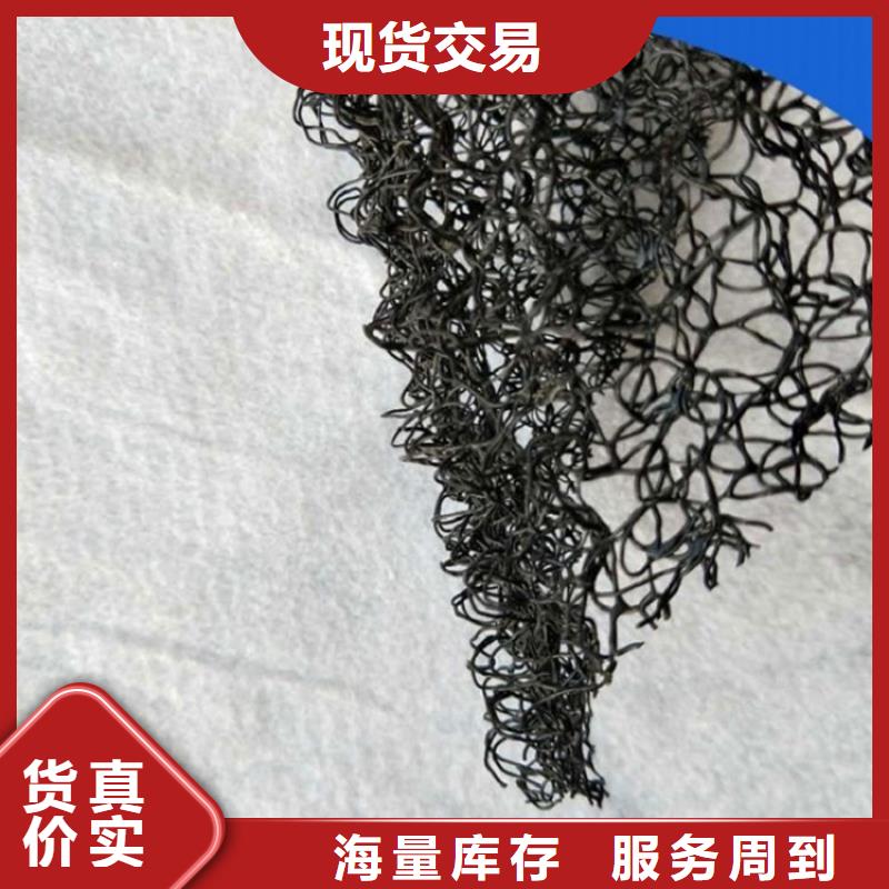 鼎诺防渗膜【水土保护毯】-玻纤格栅当地货源qy55.com