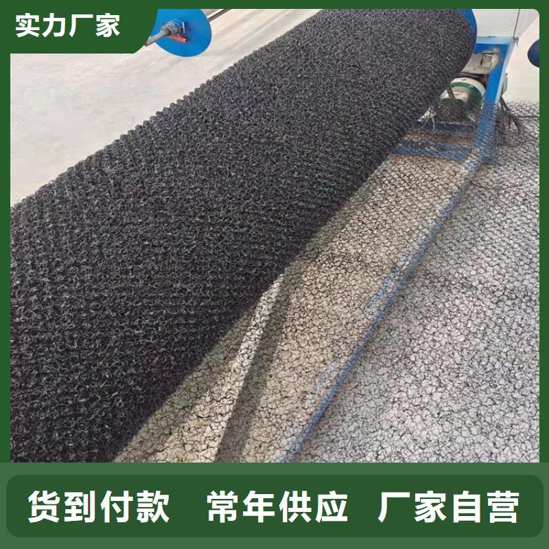 水土保護毯,滌綸格柵細(xì)節(jié)決定品質(zhì)