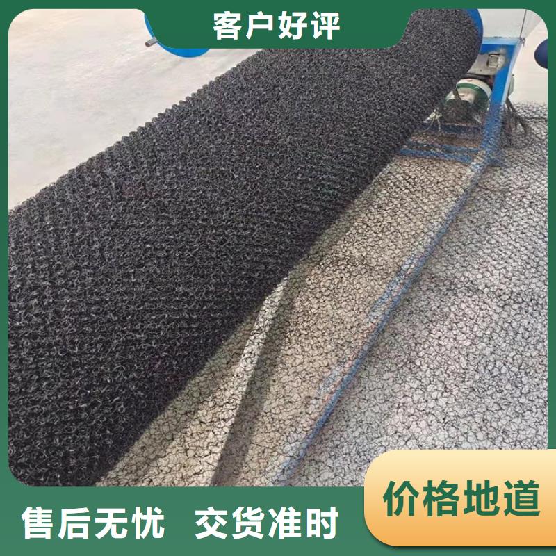 水土保護(hù)毯【土工格室】直銷廠家