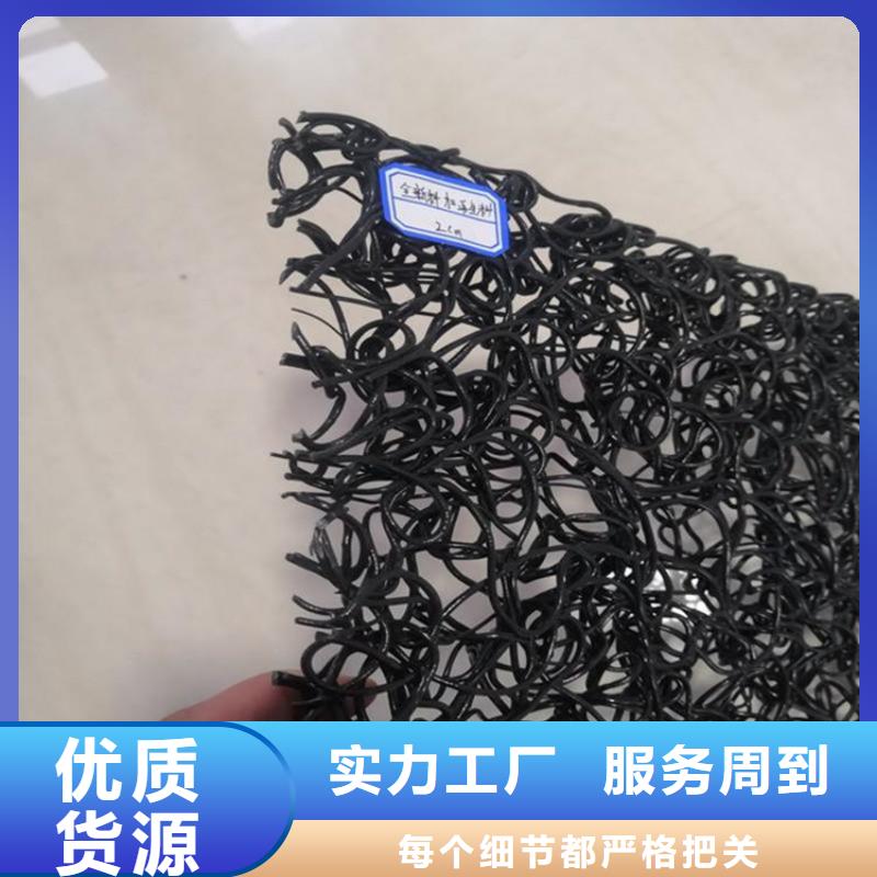 水土保護毯通風降噪絲網優質貨源