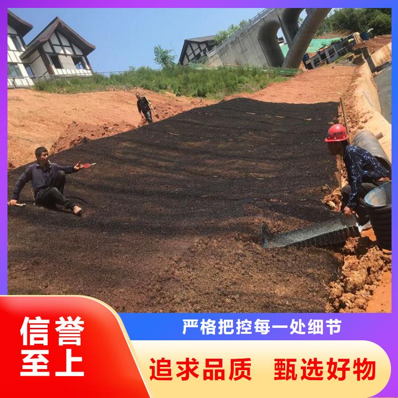水土保护毯【玻纤土工格栅】用品质赢得客户信赖