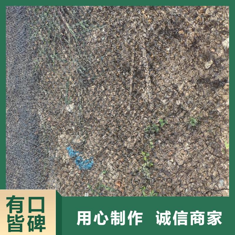 【水土保護毯】網(wǎng)格布品質(zhì)可靠