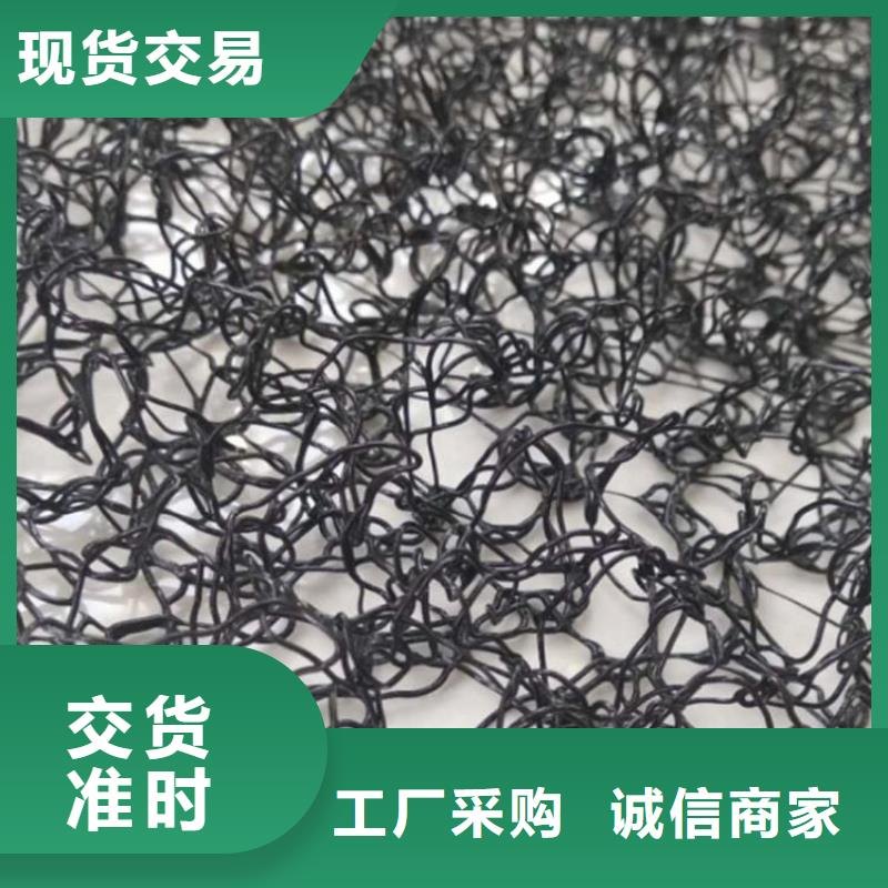 水土保護毯雙向塑料土工格柵實力商家供貨穩定