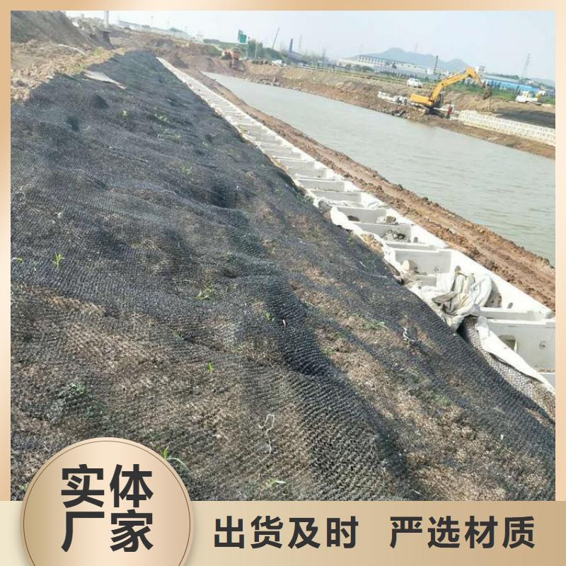 鼎诺防渗膜【水土保护毯】-玻纤格栅当地货源qy55.com