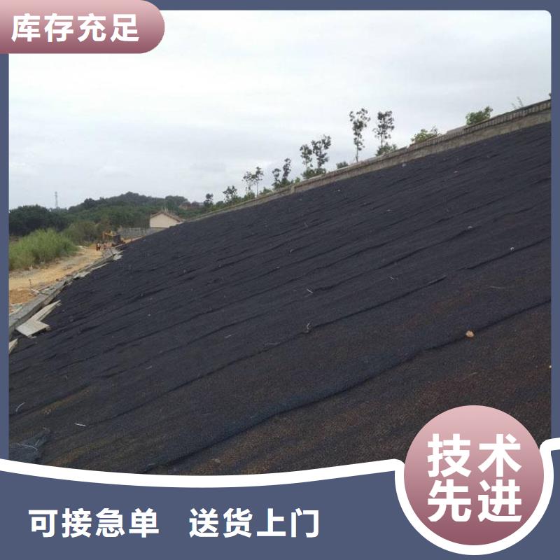 水土保護毯【防裂貼】一站式供應廠家