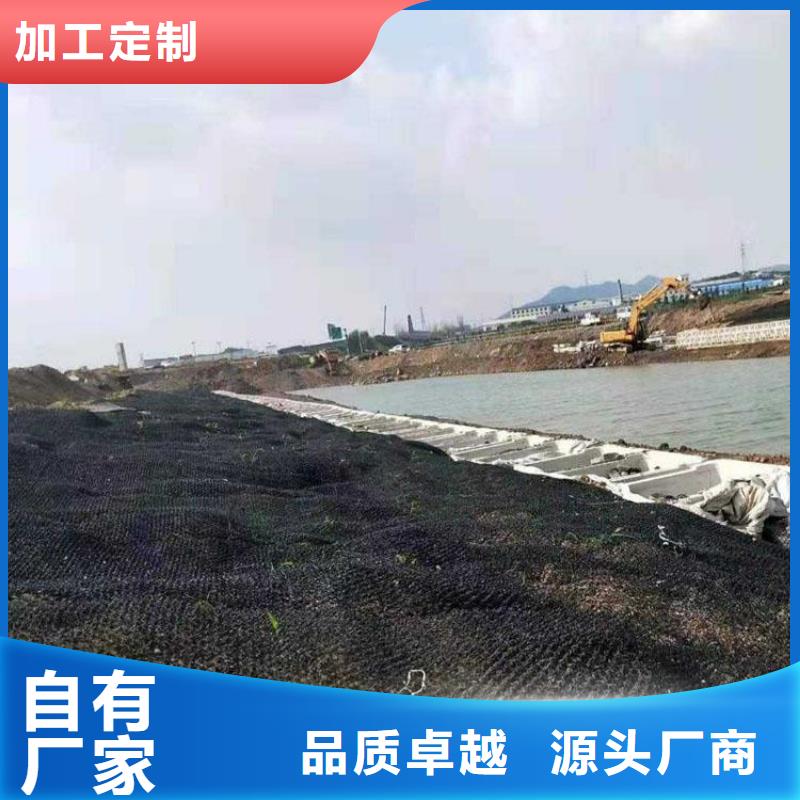 水土保护毯_矿用格栅精工细作品质优良